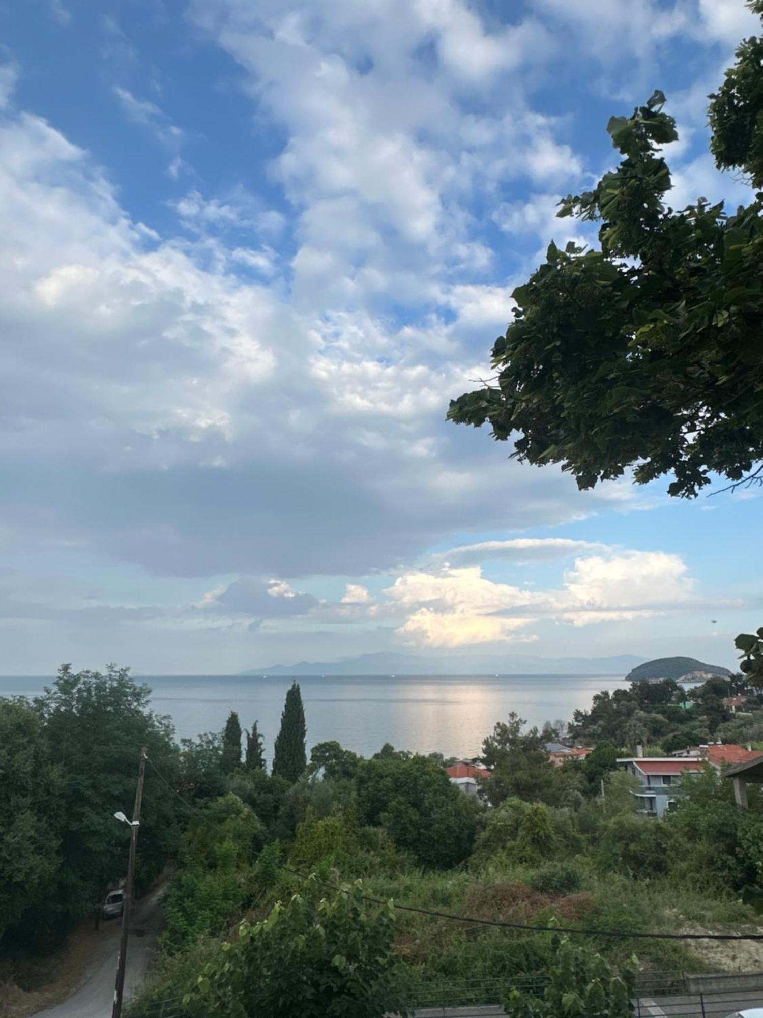 Olivia -Ελιά Daire PalaiónTsiflíkion Dış mekan fotoğraf