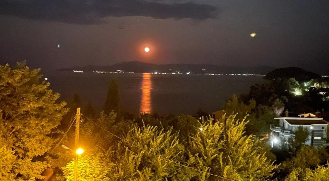 Olivia -Ελιά Daire PalaiónTsiflíkion Dış mekan fotoğraf